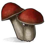 Mushroom