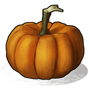 Pumpkin