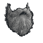 Santa Beard