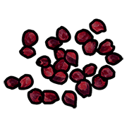 Red Berry Seed