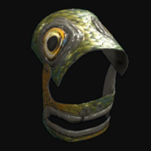 Fish Helmet