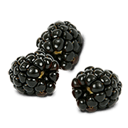 Black Raspberries