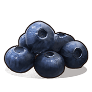 Blueberries
