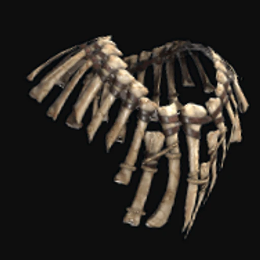 Bone Armor Poncho