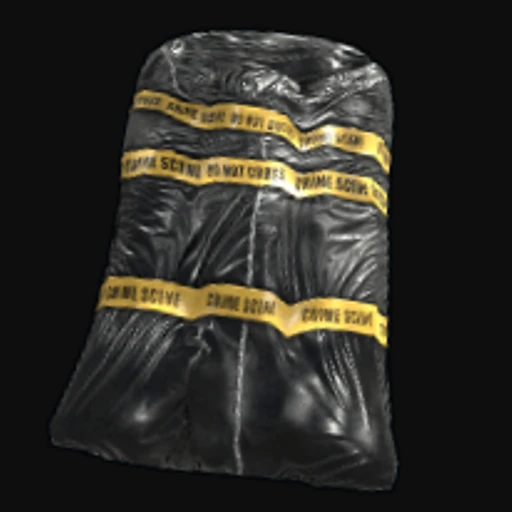 Crime Bag