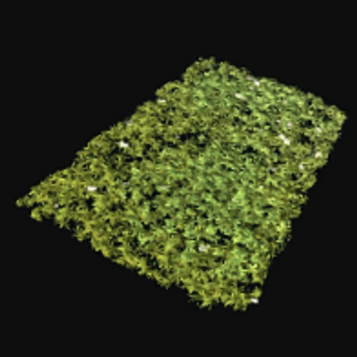 Grass Rug