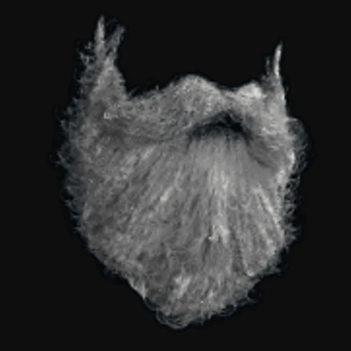 Santa Beard