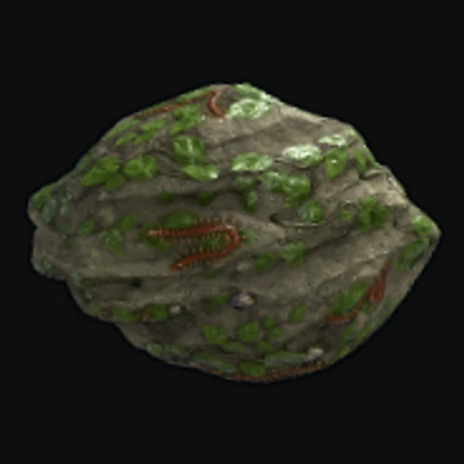 Swamp Rock