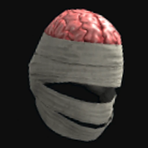 Wrapped Brain